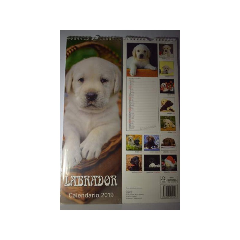 calendari  cani labrador cm 42x14,5