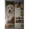 calendari  cani labrador cm 42x14,5