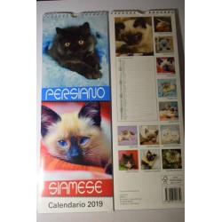 calendari gatti persiano...