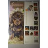 calendario  cani bassotto cm 42x14,5