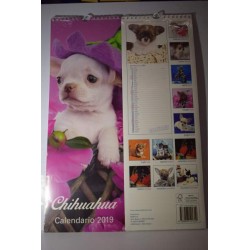 calendario  cani chihuahua...