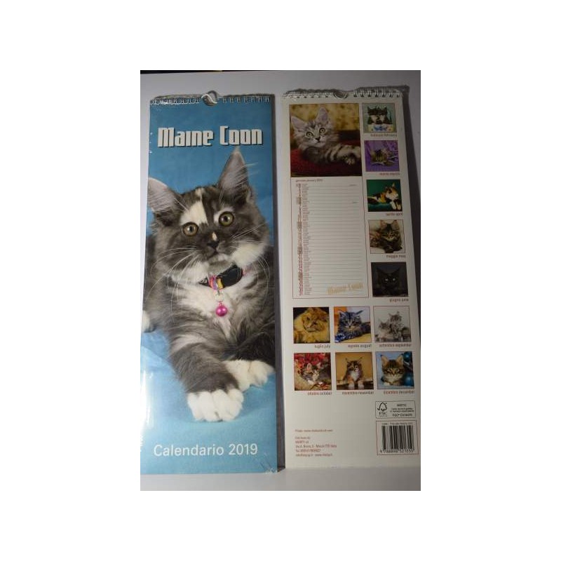 calendario  gatti mame coon cm 42x14,5