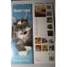 calendario  gatti mame coon cm 42x14,5