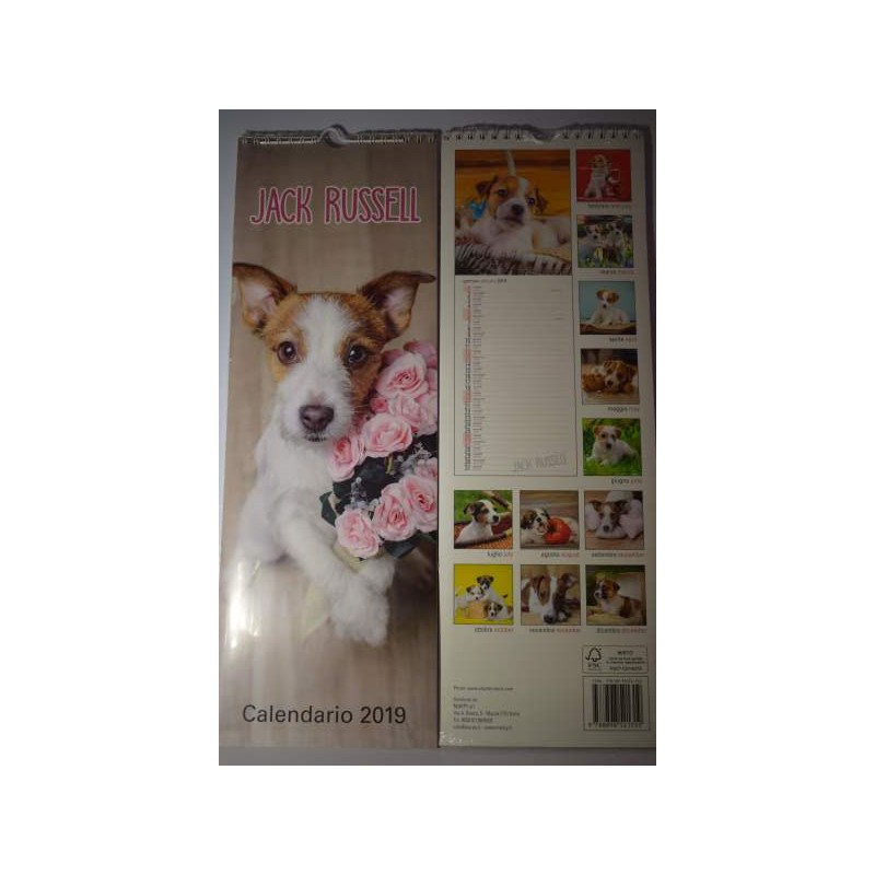 calendario cani jack russell cm 42x14,5