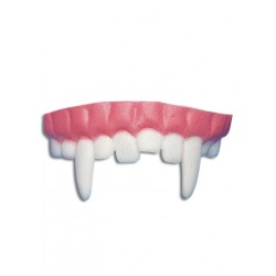 Dentiera da vampiro con lunghi canini. Realizzata in plastica , con incisivi centrali di lunghezze diverse e canini molto lungh