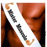 Fasce miss - mister personalizzate (mister muscolo)