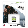 micro SD HG KINGSTON 256gb