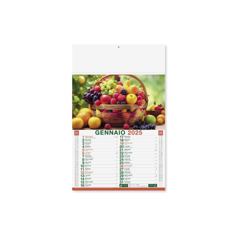 kit 100 calendario olandese illustrato frutta e verdura, mensile 12 fogli con testata termosaldata, festività internazionali. P