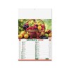 kit 100 calendario olandese illustrato frutta e verdura, mensile 12 fogli con testata termosaldata, festività internazionali. P