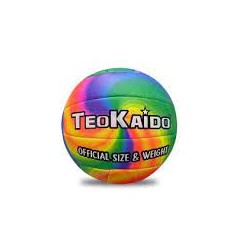 PALLONE BEACH VOLLEY TEOKAIDO D5