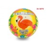 pallone fenicottero gomma diametro 22,5 cm 200gr teokaido