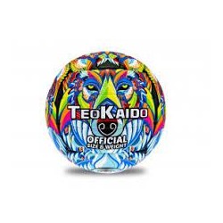 pallone volley lupo taglia 5 teokaido