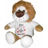 Peluche leone 25 cm con stampa san valentino grazie amore mio