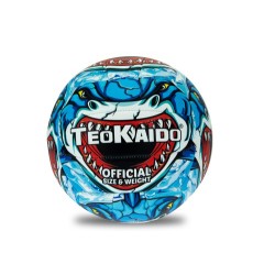 TEOKAIDO - PALLONE VOLLEY...