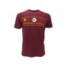 T Shirt harry potter Hogwarts express