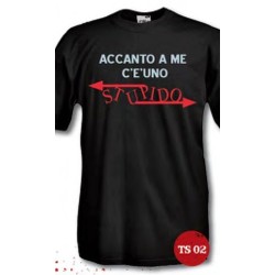 t-shirt frase spiritosa "accanto a me c'è uno stupido" taglie assortite S-M-L-XL-XXL