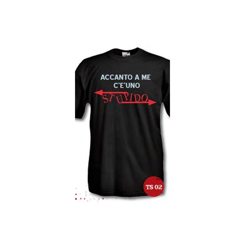 t-shirt frase spiritosa "accanto a me c'è uno stupido" taglie assortite S-M-L-XL-XXL