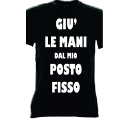 t-shirt frase spiritosa .giu le mani dal mio posto fisso.  taglie assortite S-M-L-XL-XXL