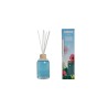 Diffusore 6 bacchette 100ml Fragranza Hawaiian Bre