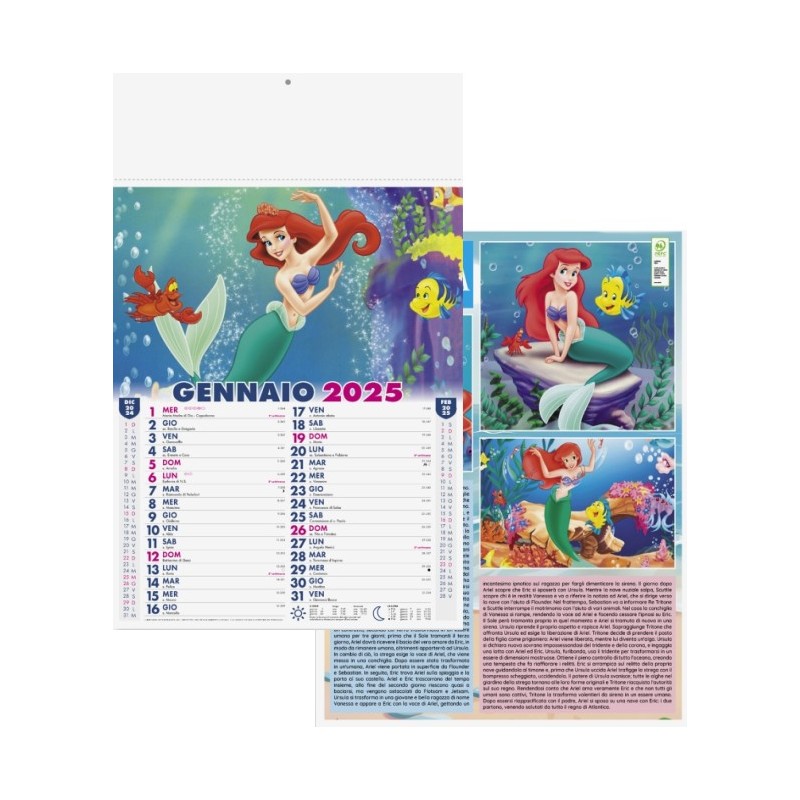 kit 100 calendario favole mensile 12 fogli in carta patinata 70 gr con testata termosaldata, festività internazionali. Personal