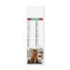 kit 100 calendario silhouette illustrato cani e gatti, mensile 12 fogli in carta patinata 70 gr con testata termosaldata, festi